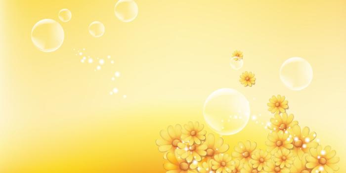 1920x1200 Yellow Flower Wallpaper | Rose Pictures