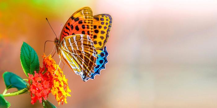 1920x1200 Candy Sweet Wallpaper - Ignore Negative People They Feed (#127652