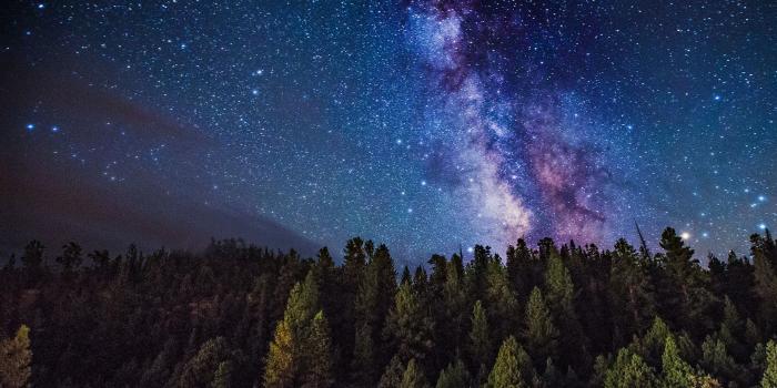 1920x1200 Milky Way over the Forest HD Wallpaper | Background Image