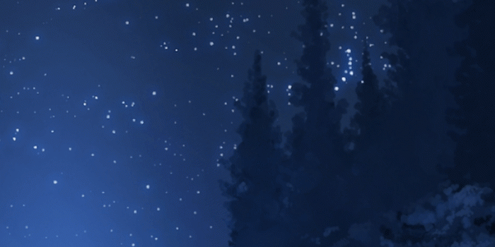 800x1280 Download 800x1280 Anime Landscape, Forest, Night, Stars, Wolf