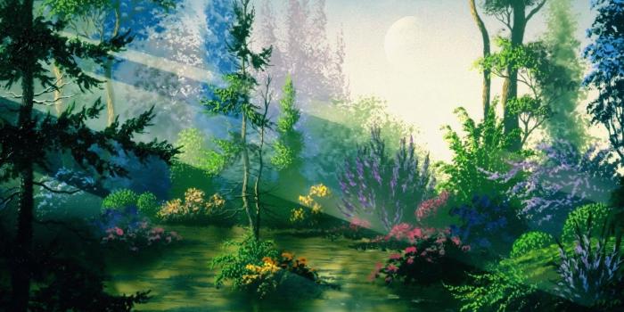 1600x1200 Forest Galaxy Wallpapers - Top Free Forest Galaxy Backgrounds