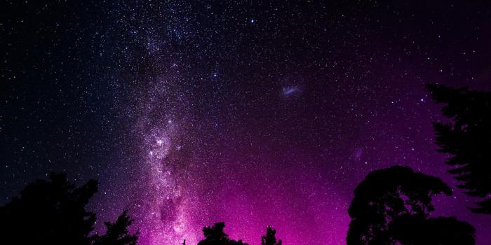 1920x1200 Pink Galaxy Trees Forest | HDWallpaperFX in 2019 | Pink galaxy