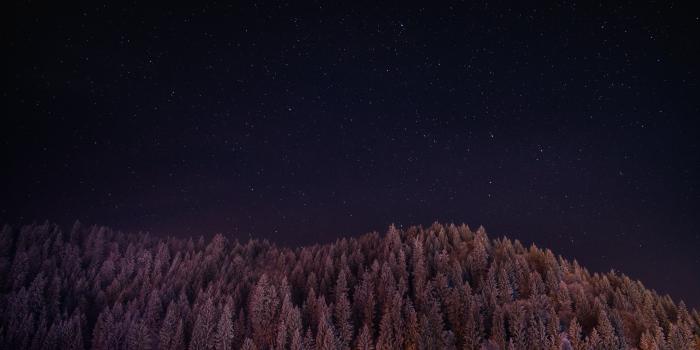 6000x3375 Brown trees, galaxy, forest, night, landscape HD wallpaper
