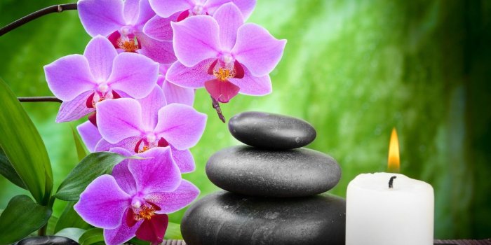 1332x850 Wallpaper flower, stones, candles, bamboo, black, Orchid, flowers