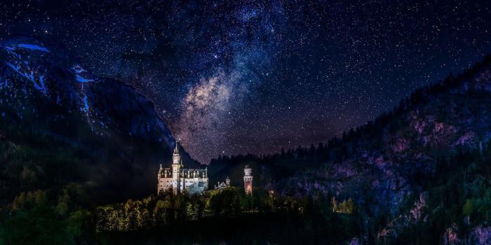 1920x1200 45+ Starry Forest Wallpapers - Download at WallpaperBro