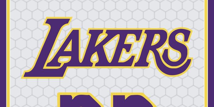 2189x4096 sly fox Supreme on NIKE | Lebron james lakers, Nba lebron