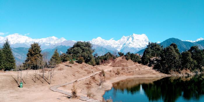 4160x2340 Free stock photo of 4k wallpaper, forest, galaxy wallpaper