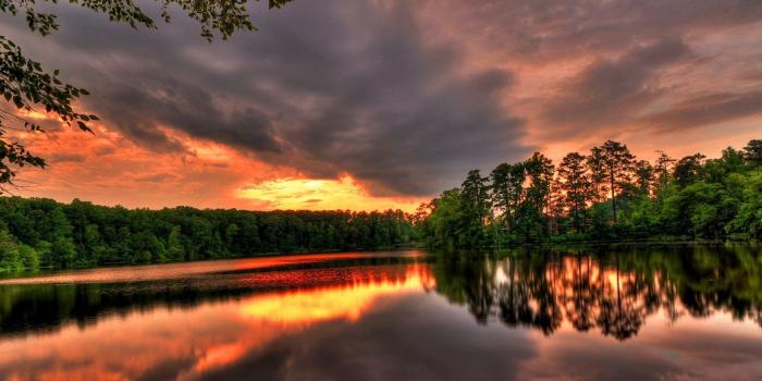 1920x1200 Wallpapers Forest Sunset In River X Samsung Galaxy Tab 2560x1440