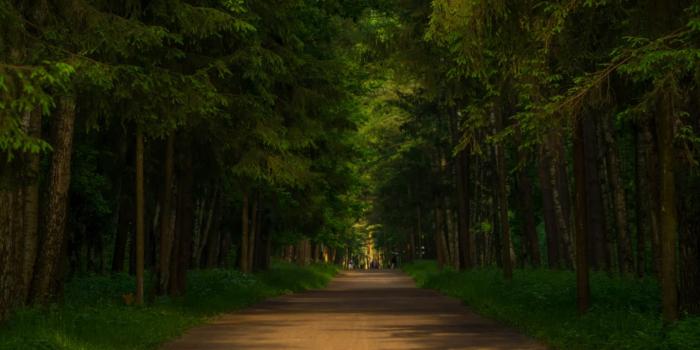 1440x2560 Galaxy Note 5 Wallpapers | HD Windows Wallpapers