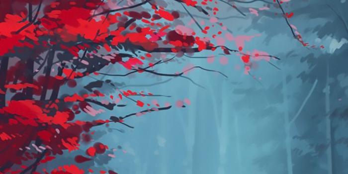 800x1280 Forest Hd Wallpapers For Galaxy S6 / S6 Edge - Autumn Wallpaper