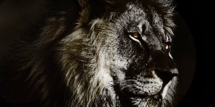 1280x908 iPhone Top Rated Wallpaper iPhone Wallpaper Pinterest Tops 1280x908