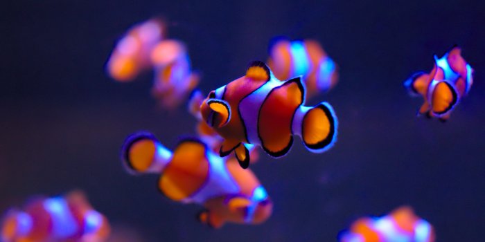 3840x2160 2503548 4k top rated wallpaper (3840x2160) | 4k wallpapers | Tokkoro