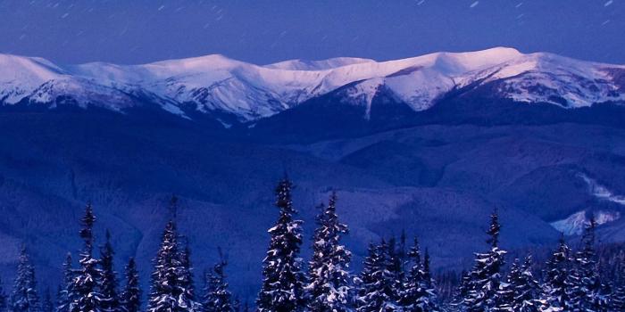 1440x2960 Star Night Forest Mountain Tree Galaxy s8 Wallpapers HD