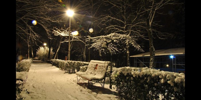 1920x1080 Winter. Top Rated Wallpapers for Android - APK Download