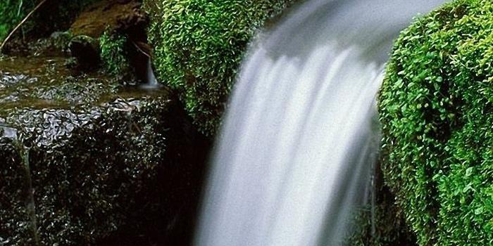 1440x2960 Waterfall Green Forest Galaxy note8 Wallpapers HD