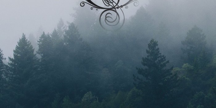 1440x2560 Download free opeth wallpapers for your mobile phone top rated