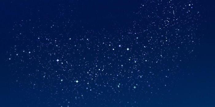 1080x1920 Temporary Official Galaxy S8 Wallpapers | The Enchanted Forest