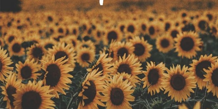 736x1308 Kicking Off 2019 With 10 Motivational iPhone X Wallpapers | Preppy