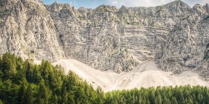 1080x1920 1080x1920 Deep Sky Mountains Forest Galaxy s4 wallpaper