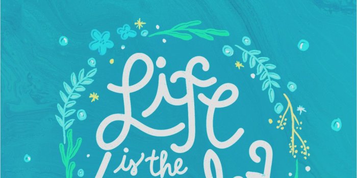 1130x2009 89+ Inspirational Phone Wallpapers on WallpaperPlay