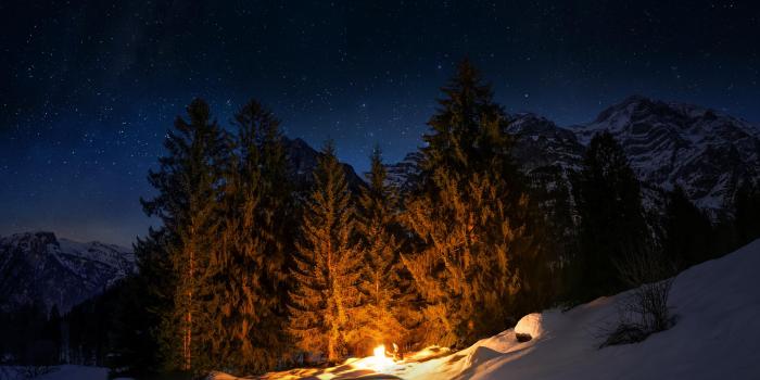 2560x1600 Camp Fire in night forest HD wallpaper download