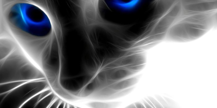 1920x1440 Top Rated Wallpapers In The World