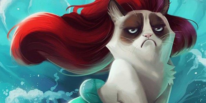 744x1392 Iphone 5 Wallpaper Top Rated Ios8 Animation Grumpy Cat Cats Phone