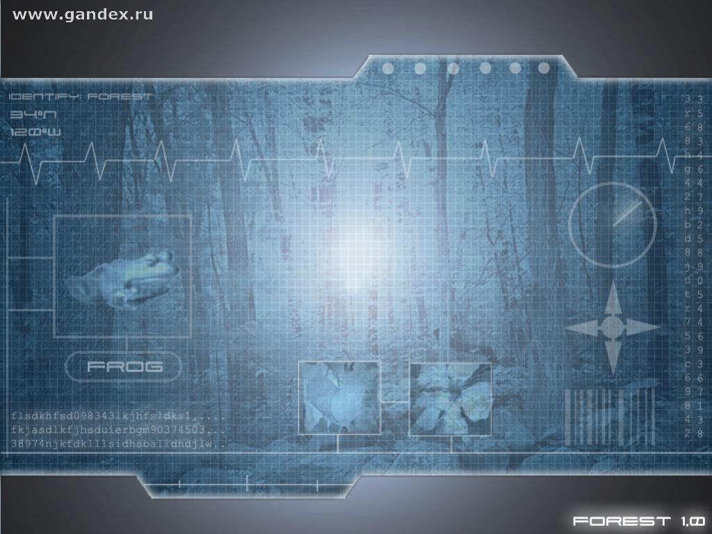 1024x768 Download desktop wallpaper Frog - Frog, gray wallpaper for desktop grid