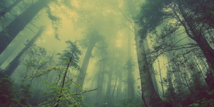 3440x1440 30 Wallpapers That Will Look Stunning On Your Ultrawide Display