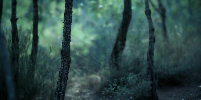 3440x1440 Best 25+ Ultrawidescreen Wallpaper on HipWallpaper | Ultrawidescreen