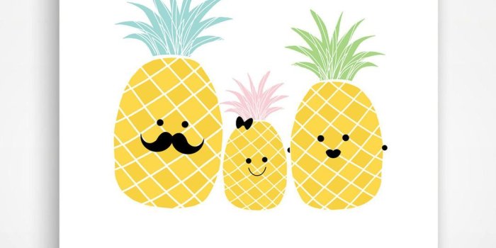 1079x1440 Diana Miller on Pineapple Sisters in 2019 | Pineapple art