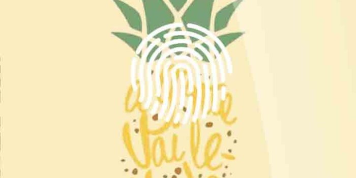 720x1280 Kawaii Pineapple 2019 Edition for Wallpapers for Android - APK Download