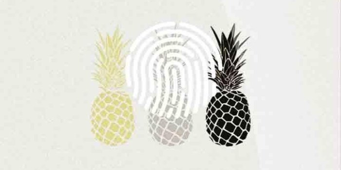 720x1280 Kawaii Pineapple 2019 Edition for Wallpapers for Android - APK Download
