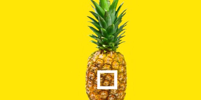 1024x768 Pine apple - image #2901017 by miss_dior on Favim.com