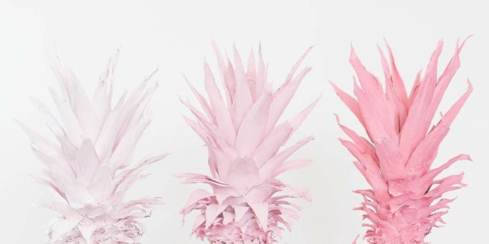1024x1468 Pastel Pineapple Wallpapers - Top Free Pastel Pineapple Backgrounds