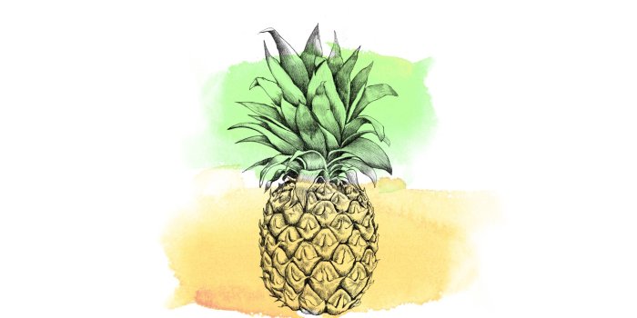 2560x1302 Best 51+ Pineapple Wallpaper on HipWallpaper | Vintage Pineapple