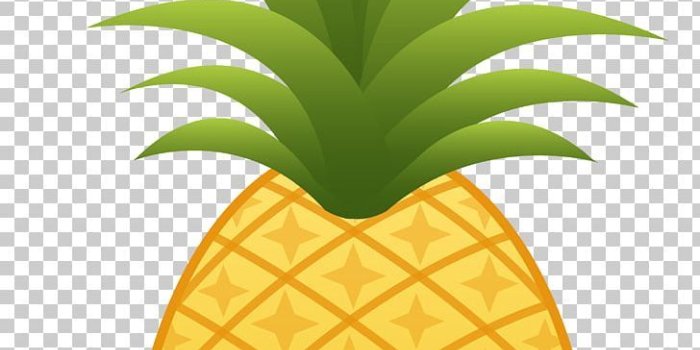 728x1407 Pineapple PNG, Clipart, Ananas, Bromeliaceae, Clip Art, Computer