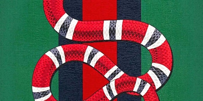 1200x2133 Bmw Wallpaper Ios Elegant Gucci Macbook Wallpaper Elegant Free