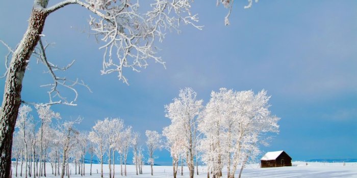 1920x1200 67+ Winter Desktop Wallpapers on WallpaperPlay