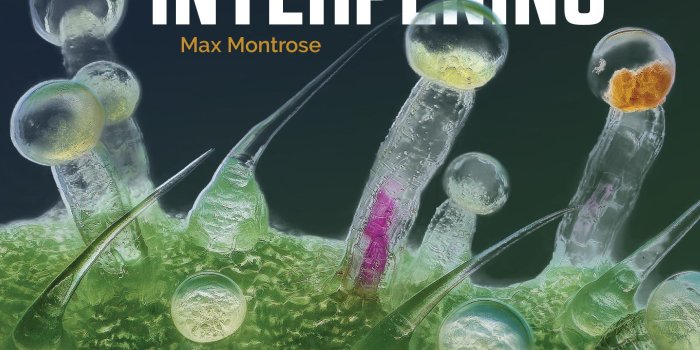 1719x1250 Trichome Institute | Cannabis Science, Education, and Certification
