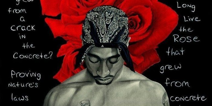 768x1024 Follow: Jaaja'