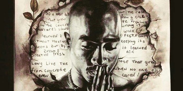 1080x1080 The Rose That Grew From Concrete | wallpapers | Tupac art, Tupac