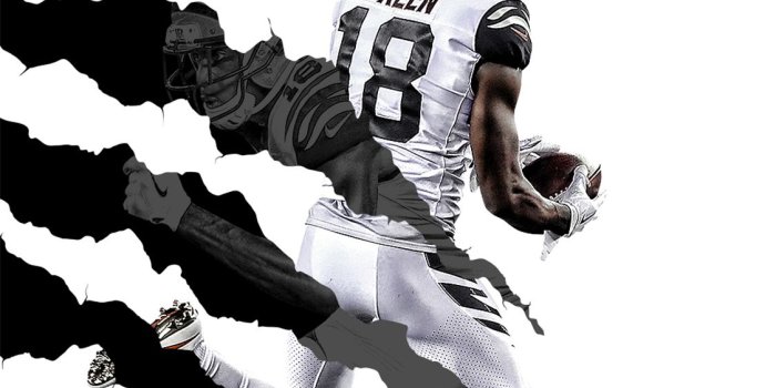 1125x2436 Cincinnati Bengals Fans | 2018 Wallpaper - Bengals.com