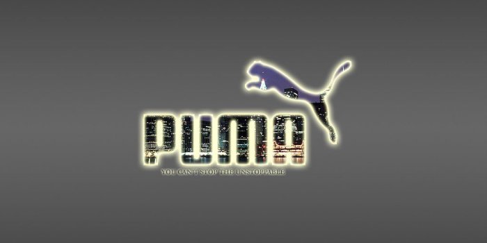 1024x768 Best 51+ Puma Wallpaper on HipWallpaper | Puma Wallpaper, Wallpaper