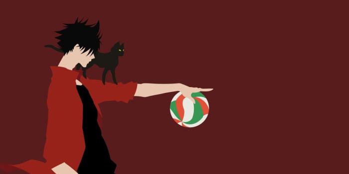 1332x850 Wallpaper cat, the ball, guy, Volleyball, Haikyuu images for desktop