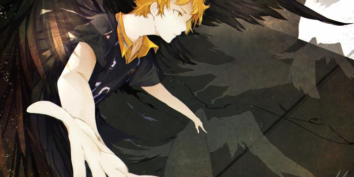 2560x1440 Download 2560x1440 Haikyuu, Hinata Shouyou, Dark Wings, Orange Hair