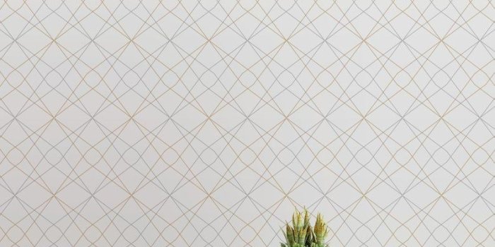 794x1016 Northern Stars Peel and Stick Wallpaper Tiles, Modern Wallpaper Panels -  Light Grey with Gold and Dark Grey Lines