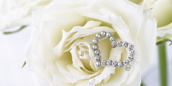 1920x1200 White Rose with Diamond Heart widescreen wallpaper