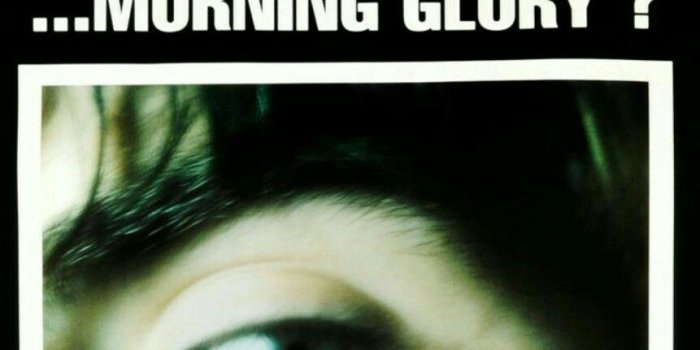 861x1521 Oasis Wallpaper Hd , (45+) Pictures