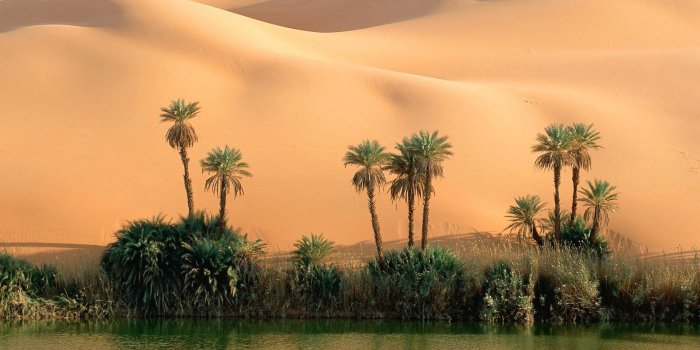 1920x1200 Geo, Iphone, Oasis,nature Wallpaper,landscape - The Wallpaper